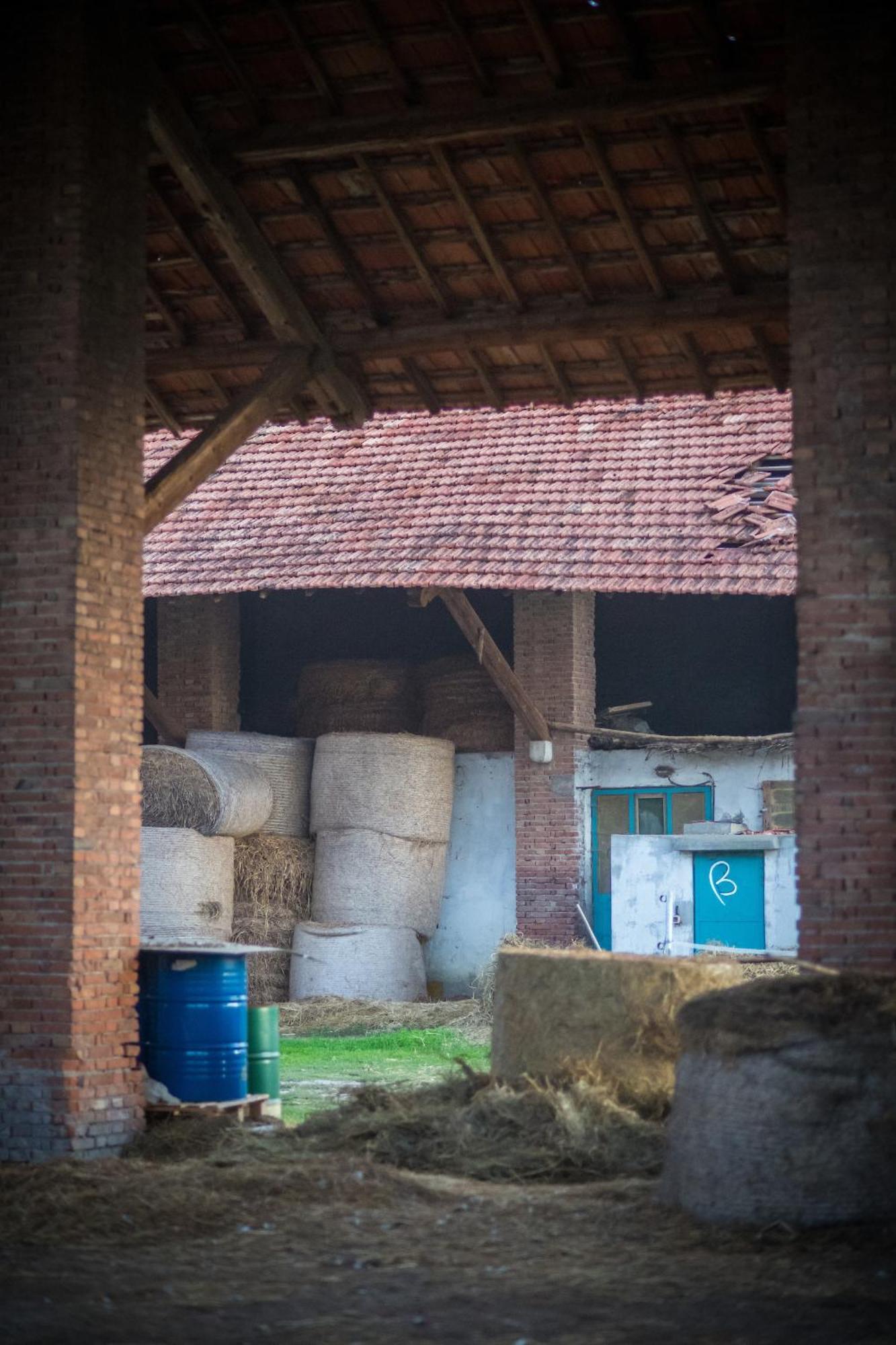 Agriturismo Beatilla Marmirolo Zewnętrze zdjęcie