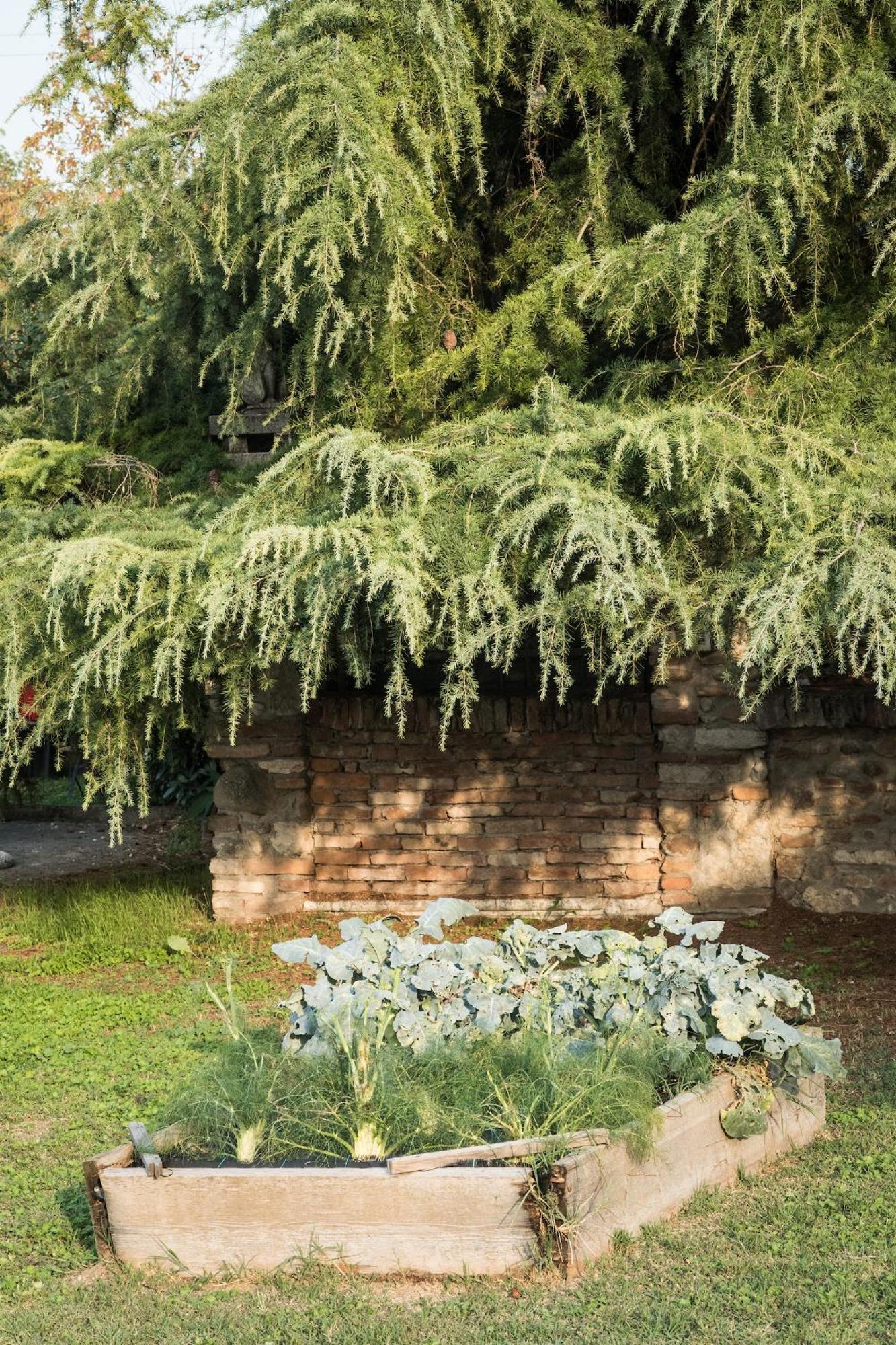 Agriturismo Beatilla Marmirolo Zewnętrze zdjęcie
